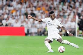 期間的運作 期間的運作